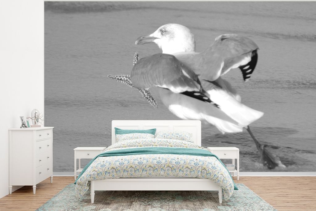 MuchoWow Fototapete für Wohnzimmer oder Schlafzimmer Wandtapete Vinyl Motivtapete Ein Bild einer Heringsmöwe, die einen Seestern fängt - schwa...
