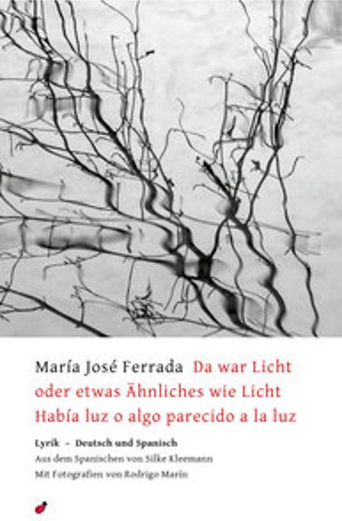 Da war Licht oder etwas Ähnliches wie Licht / Había luz o algo parecido a la luz