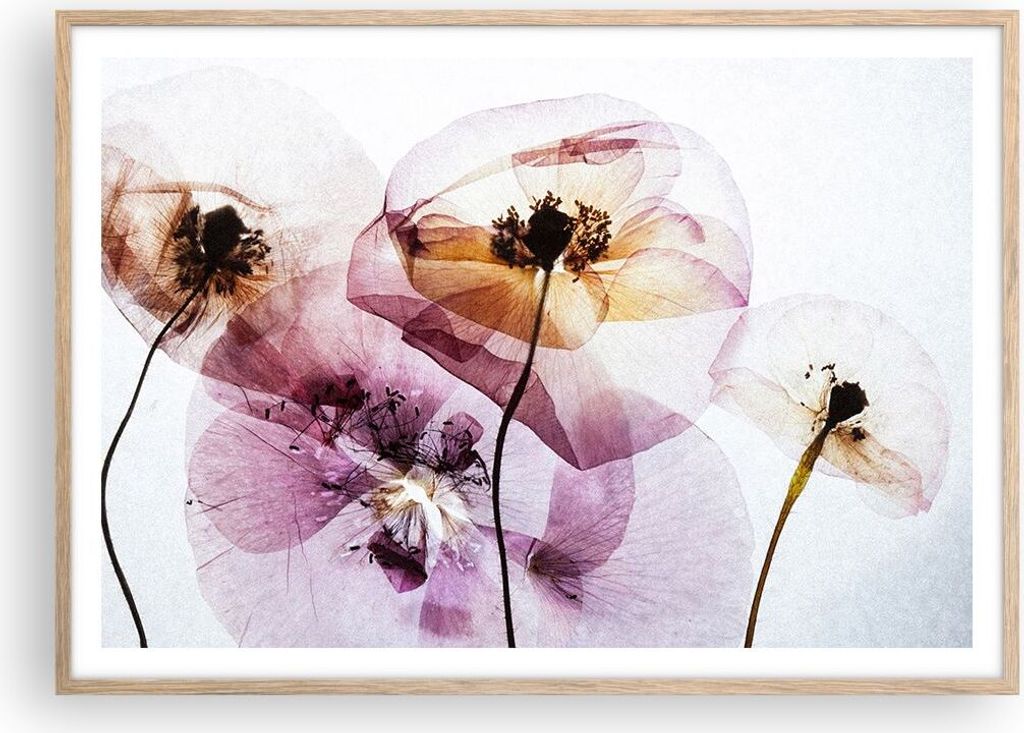 Gerahmtes Poster - Rahmen in heller Eiche - blume sommer natur - 100x70 cm - Wand Bild - Wanddeko - Wandbilder - Wandposter - Bilderrahmen - Bilder...