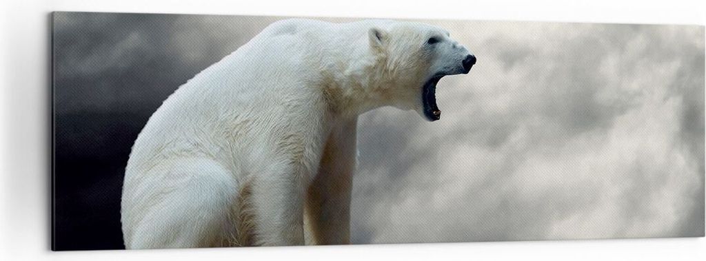 Bild auf Leinwand - Leinwandbild - Bär Tiere Wasser Eis - 160x50cm - Wand Bild - Wanddeko - Leinwanddruck - Bilder - Kunstdruck - Wanddekoration -...
