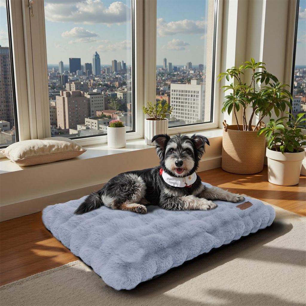 WISFOR Lit pour chien, canapé pour chien, coussin pour Image du produit 