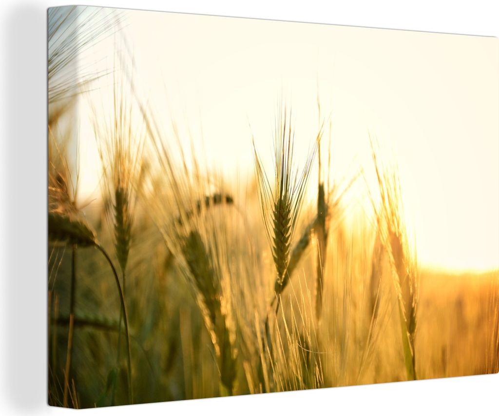OneMillionCanvasses - Leinwandbilder - 140x90 cm, Illustration eines Getreidefeldes bei Sonnenaufgang, Wandbilder Kunstdruck Wanddekoration