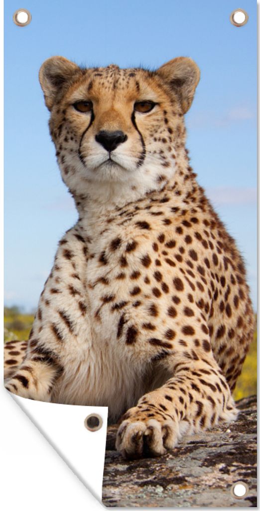 MuchoWow 30x60 cm Outdoor-Poster Gartendeko Sichtschutz Garten Poster für den Garten Leopard - Tiere - Natur