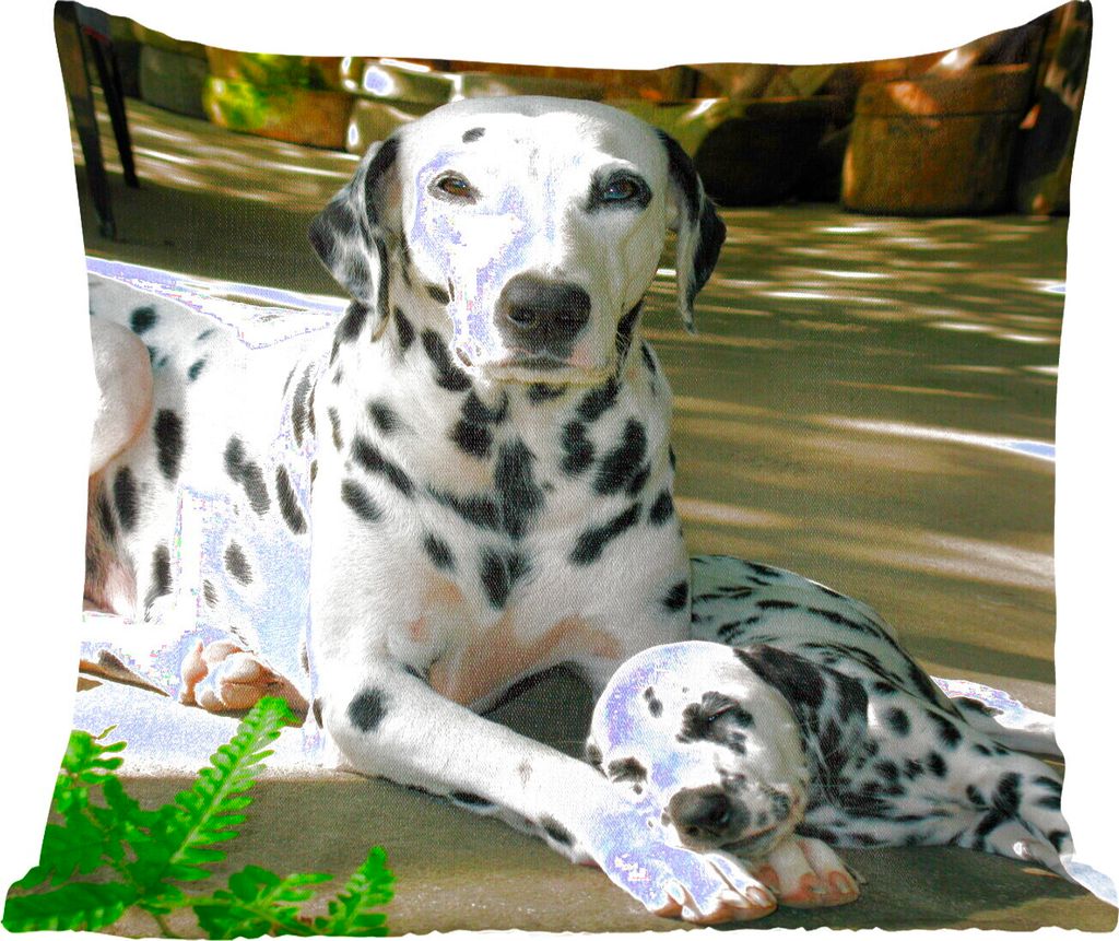 MuchoWow Zierkissen Sofakissen Wohnzimmer Dekokissen 40x40 cm Hund in der Sonne mit seinem Welpen - Foto Kissen - Schlafzimmer Dekoration