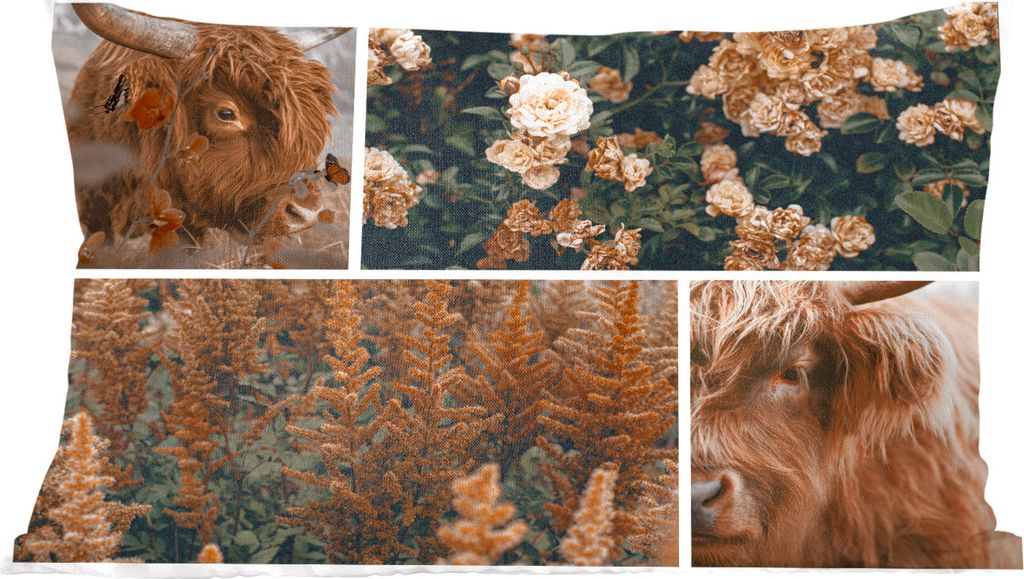 MuchoWow Zierkissen Sofakissen Wohnzimmer Dekokissen 60x40 cm Scottish Hochlandrind - Blumen - Pflanzen - Braun - Kopfkissen - Polster mit Foto