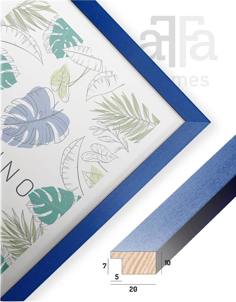 A framed picture with a botanical print and a close-up of the frame's profile with dimensions.