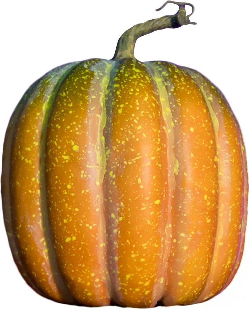 Wirklichkeitsgetreuer Herbstkürbis mit Strunk 23x18