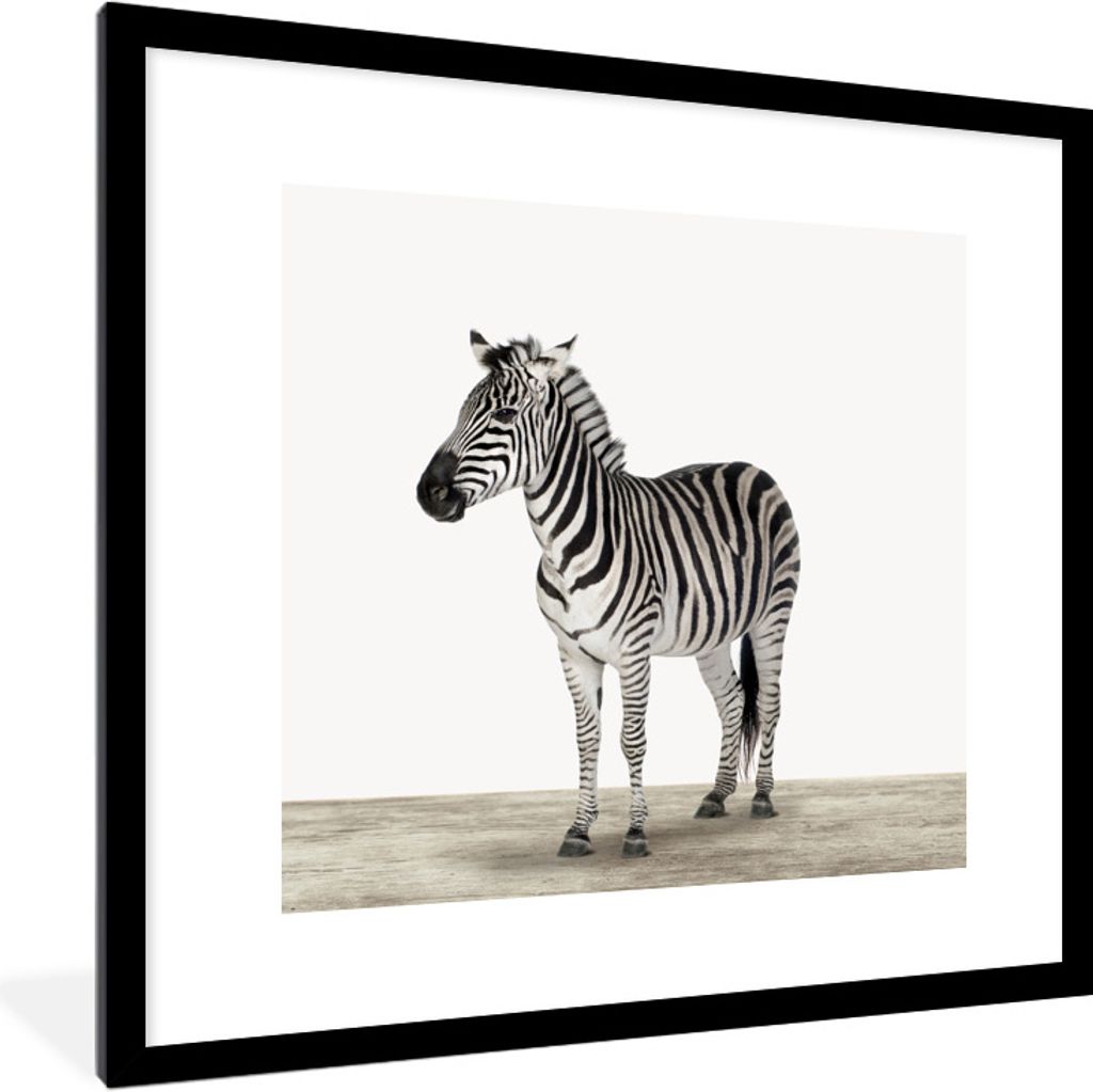 MuchoWow Gerahmtes Poster Zebra - Mädchen - Tiere - Kinder - Jungen 40x40 cm - Poster mit Schwarzem Bilderrahmen Wandposter Rahmen Foto Bilder -...