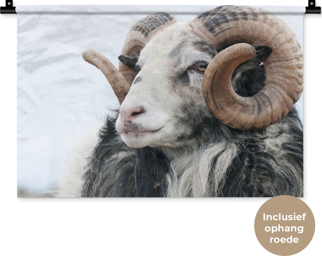 MuchoWow Wandteppich Wandbehang Schafe - Horn - Tiere 60x40 cm Tapisserie Dekoration Wandtuch - Wanddekorationen