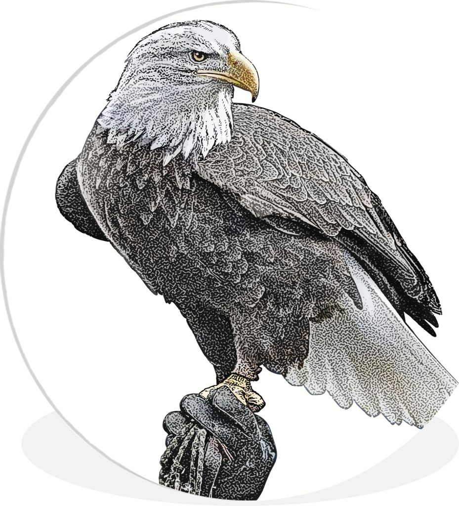 MuchoWow - Schlafzimmer - Bilder - Der Kreis - Kunst für die Wohnung - Plastik - Kunstdruck - Wandbild