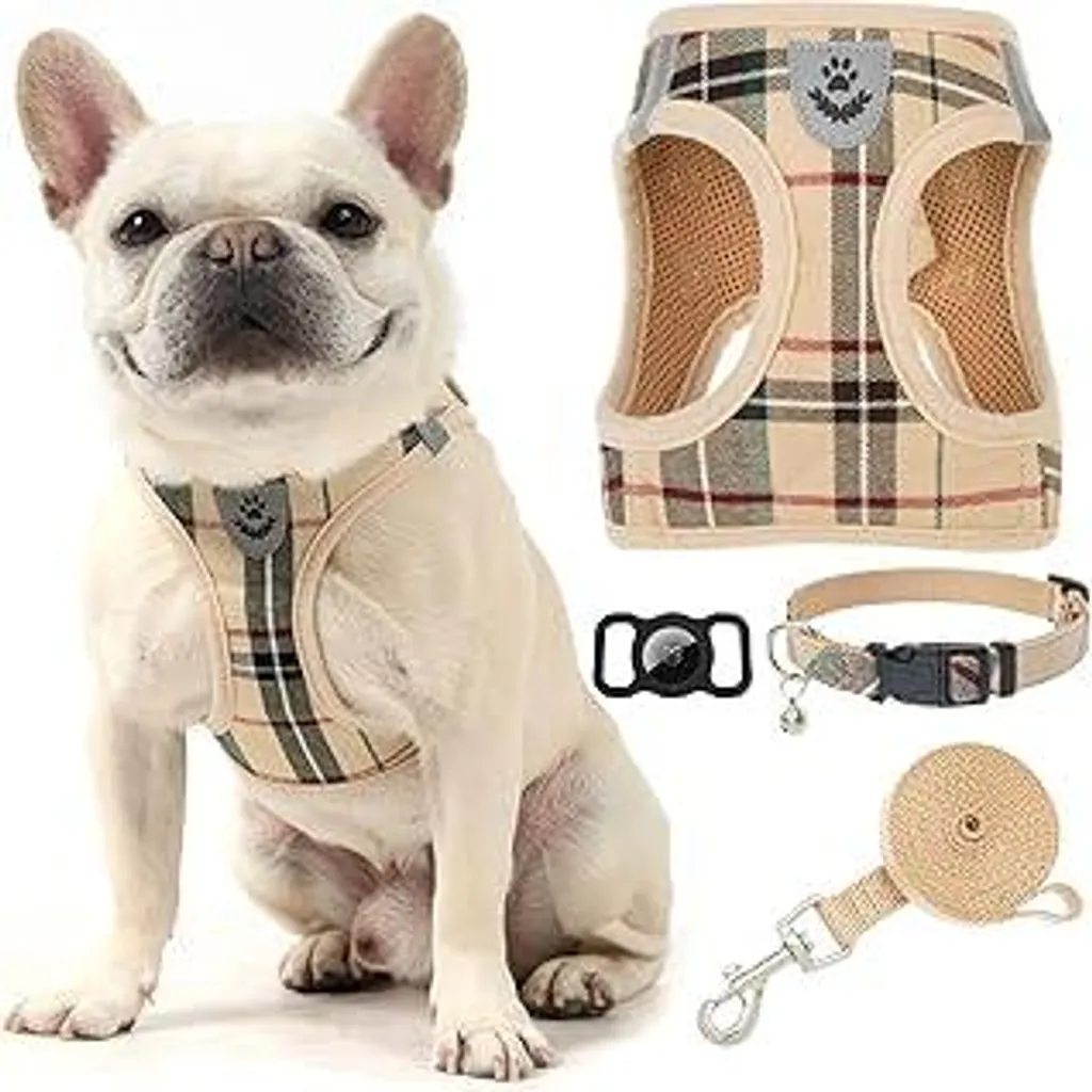 Set Passeggiata EXPAWLORER S Cachi | Tutto per il tuo Cane in un Click