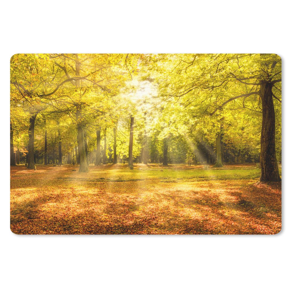 MuchoWow Schreibtischunterlage Baum - Natur - Sonne - Landschaft - Wald 60x40 cm - XXL Mauspad - Großes Mauspad