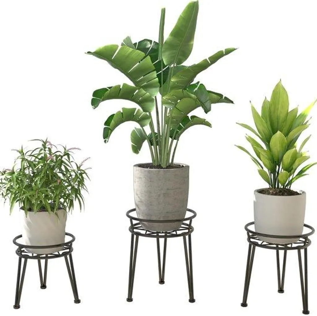 Étagère à fleurs escalier métallique noire pour plantes d'extérieur