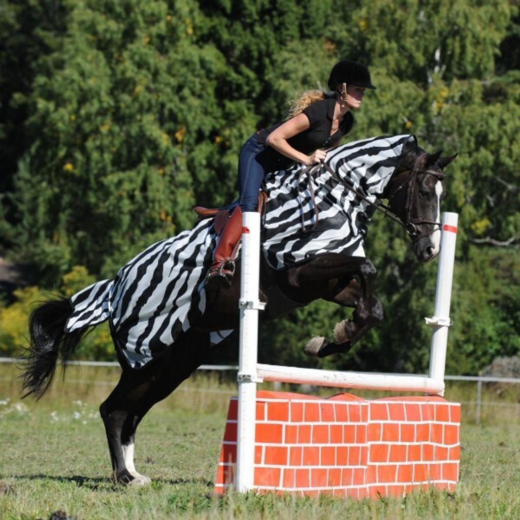 Bucas Fliegen Ausreitdecke Buzz-Off Riding Zebra Zebra 135