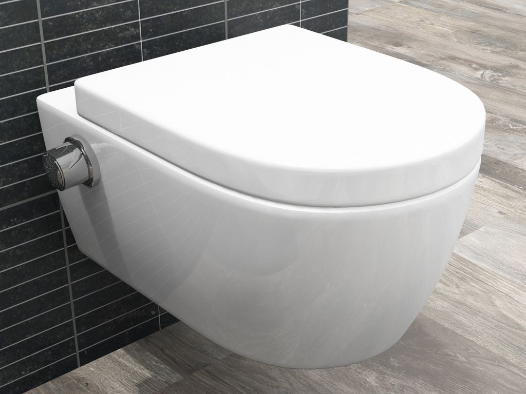 for sale online SSWW Keramik Spülrandloses Taharet WC mit Abnehmbarer Softclose Sitz und Beschichtung ABWCSR003KTV Weiß 