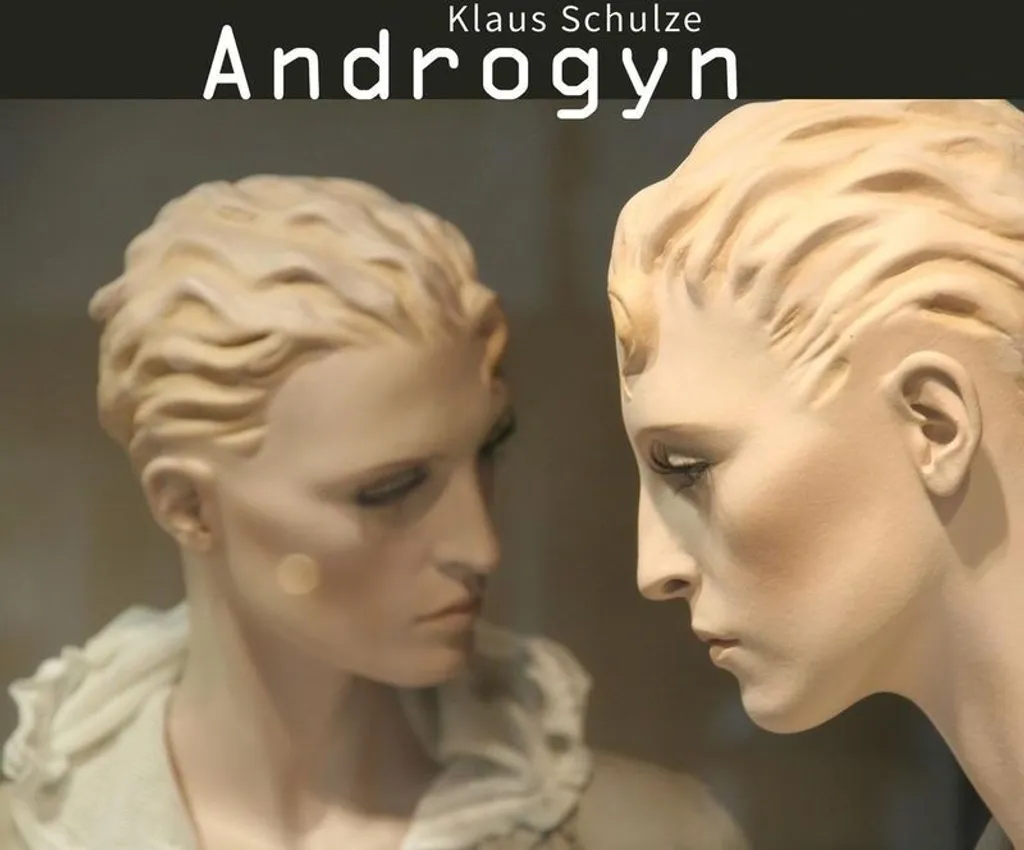 Améliorez votre collection Musique Électronique avec le CD Androgyne