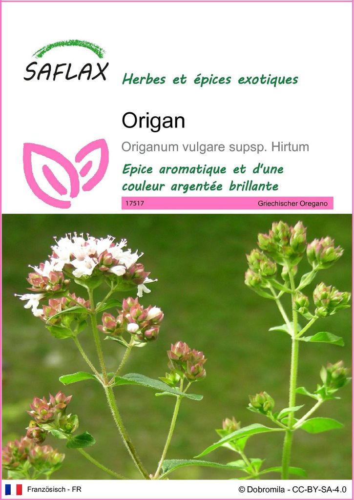 SAFLAX  - Origan - 600 graines - Origanum Image du produit 