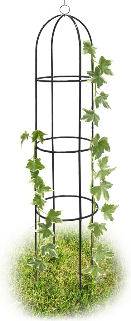 Support pour Plantes Grimpantes 1,9m en Métal Noir Relaxdays - Set de 2