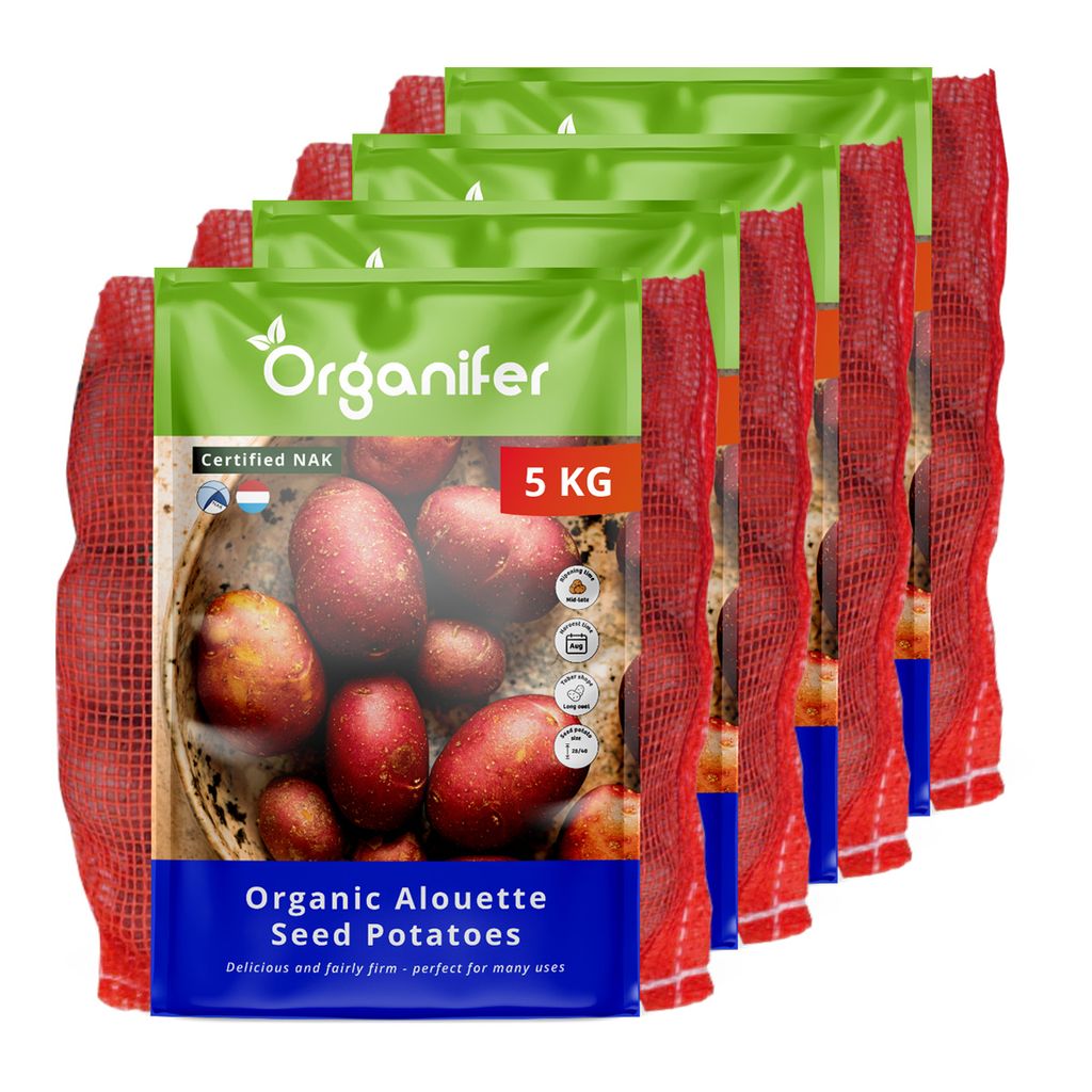 -Saatkartoffeln Alouette A 28/35 (20 kg) - Organifer