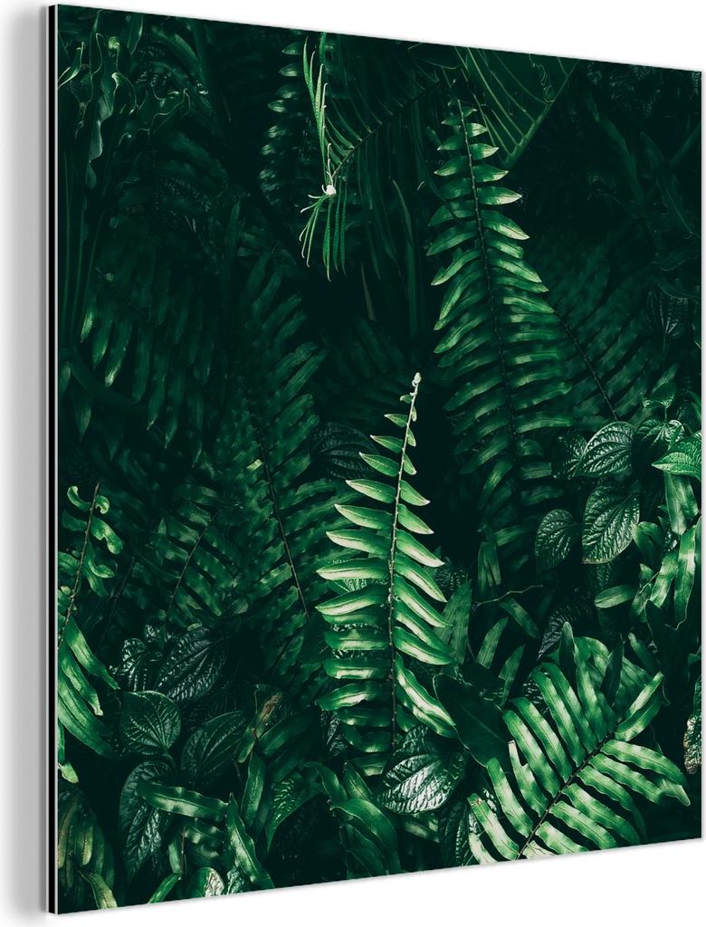 MuchoWow Wanddekoration Metall Metallbild Wandkunst 20x20 cm Blätter - Dschungel - Natur - Tropisch - Pflanzen MuchoWow Aluminium Gemälde - Alu D...