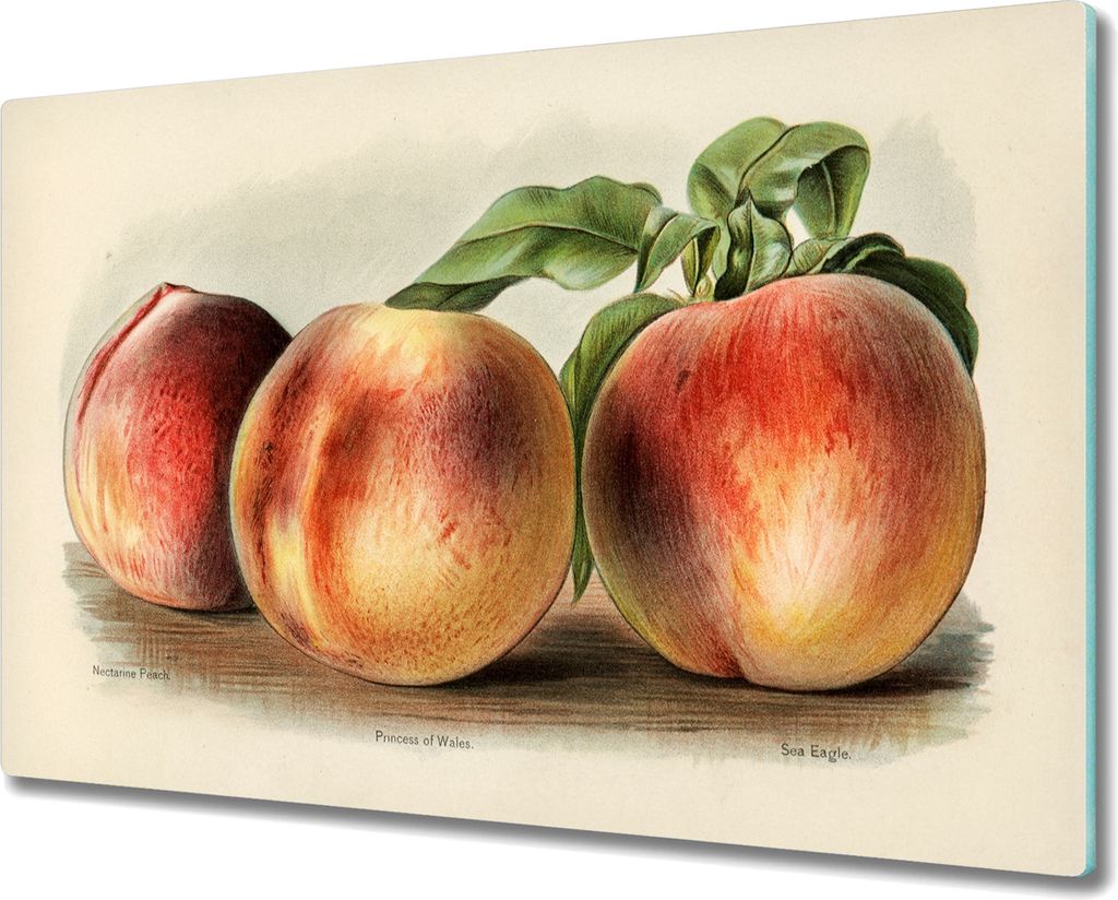 Coloray Hackbrett Herdabdeckplatte 80x52 cm Küchenbrett Kochplattenabdeckung Schneidebrett - Obst Pfirsich Blätter
