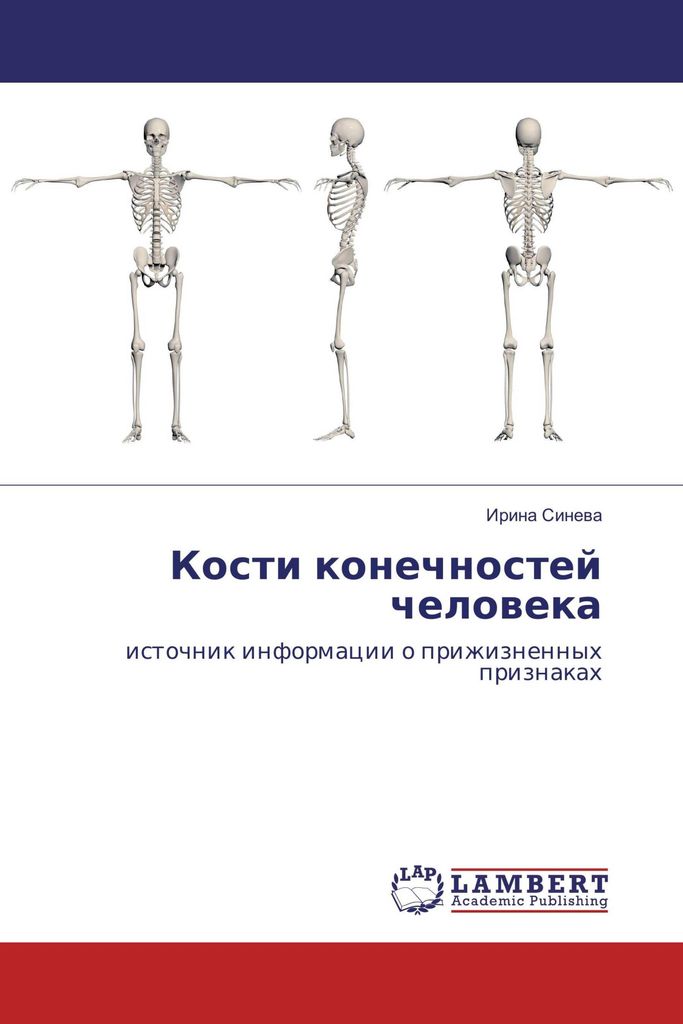 Kosti konechnostej cheloweka