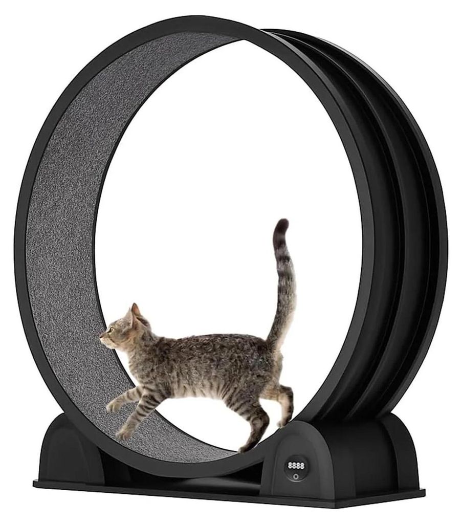 Katzen Laufrad - Indoor Trainingsrad - Groß 114 cm - Leise - Smart-Schrittzähler - Lauf- & Gehtraining - Schwarz