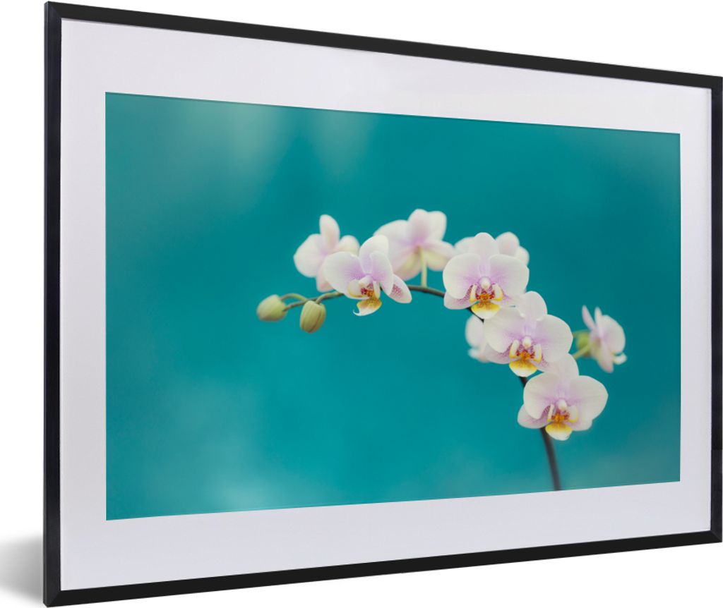 MuchoWow Gerahmtes Poster Orchidee - Blumen - Pflanze - Weiß - Lila 60x40 cm - Poster mit Schwarzem Bilderrahmen Wandposter Rahmen Foto Bilder -...