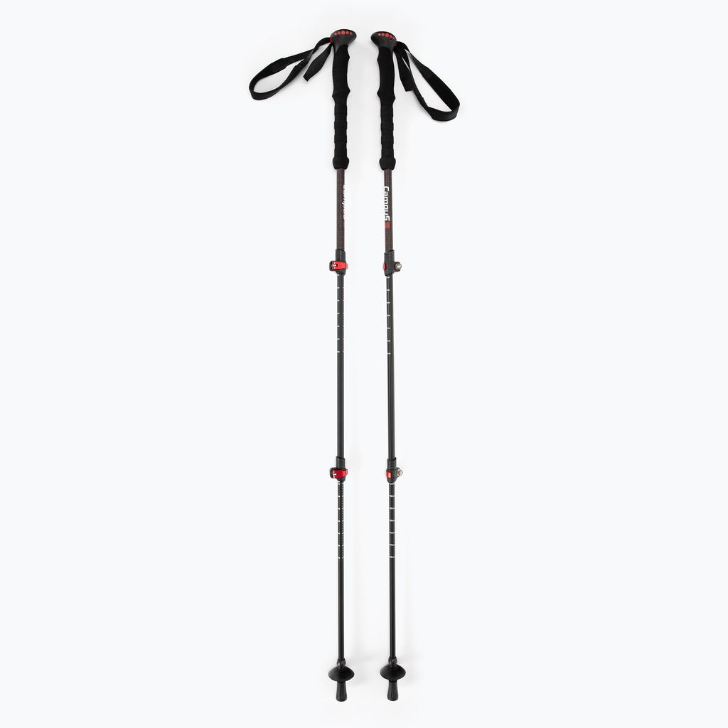 Campus Stetin Nordic Walking Stöcke schwarz CU0703321218