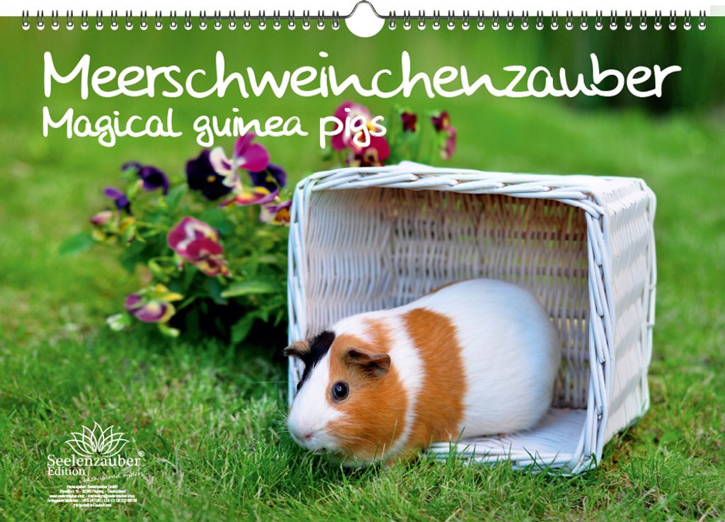 Meerschweinchenzauber DIN A3 Kalender - Immerwährender Kalender Meerschweinchen - Seelenzauber