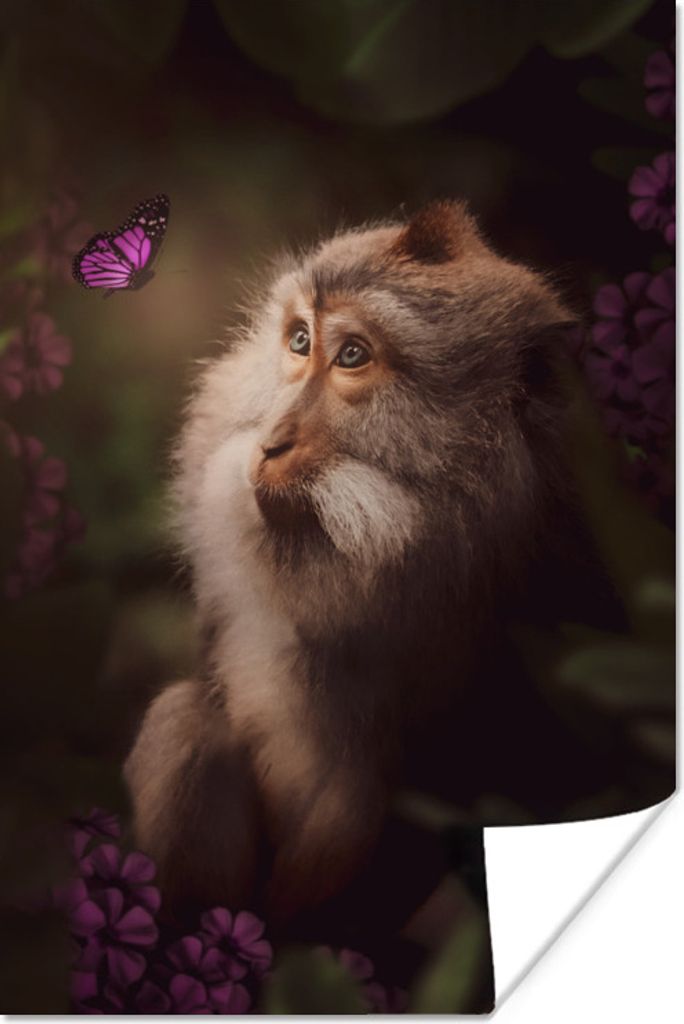 MuchoWow Poster Affe - Schmetterling - Dschungel 60x90 cm - Wanddekoration