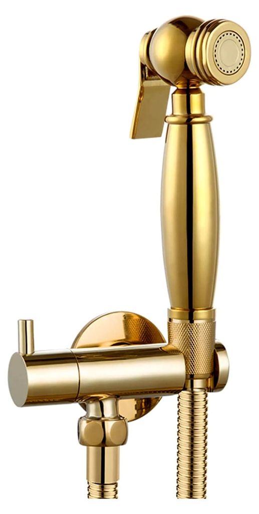 Handbrause for Toilette, Messing, Baby-Stoffwindel-Sprayer, tragbarer Hand-Toiletten-Sprühkopf mit Schlauch for Damenwäsche, Haustierwäsche, Gold