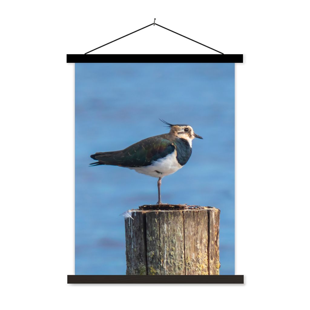 MuchoWow Textilposter Vogel - Tiere - Pfahl - Blau - Kiebitz 90x120 cm mit schwarzem Rahmen - Dekoration
