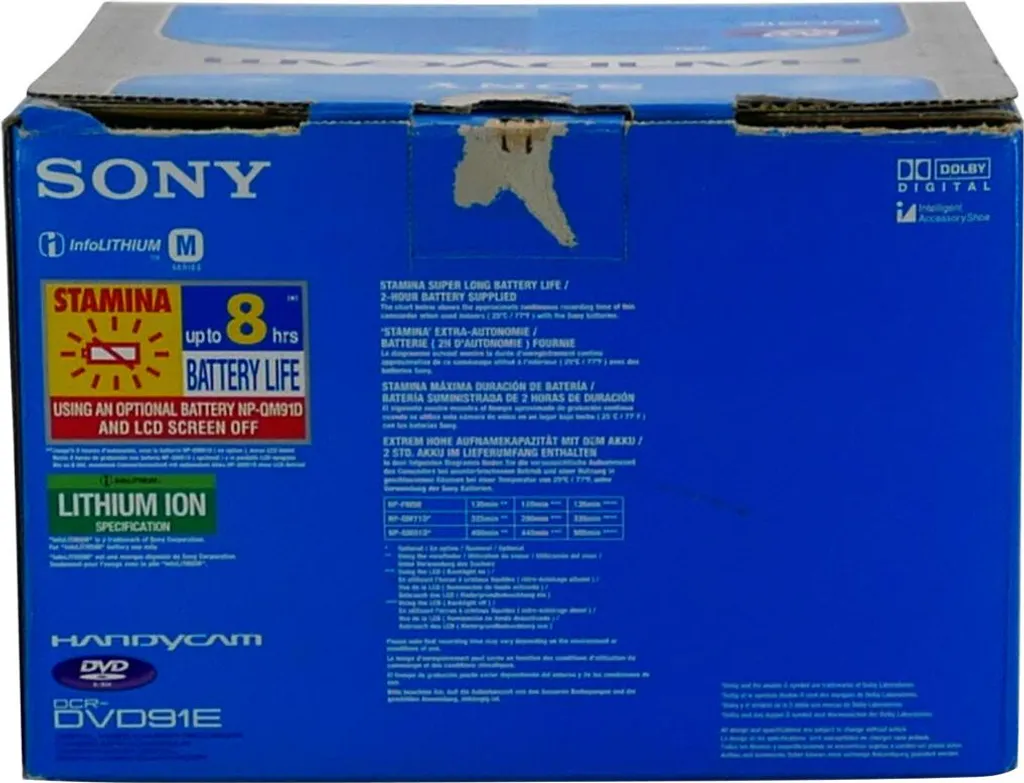 Sony DCR-DVD91E Handycam : Caméscope à écran LCD 2,5 pouces pivotant - 2