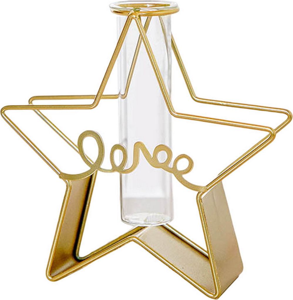 2pcs/set nordischer Stil Geometrischer exquisiter Blumenvase Sternform Metallrahmen Glashydroponic Container Home Dekoration-B