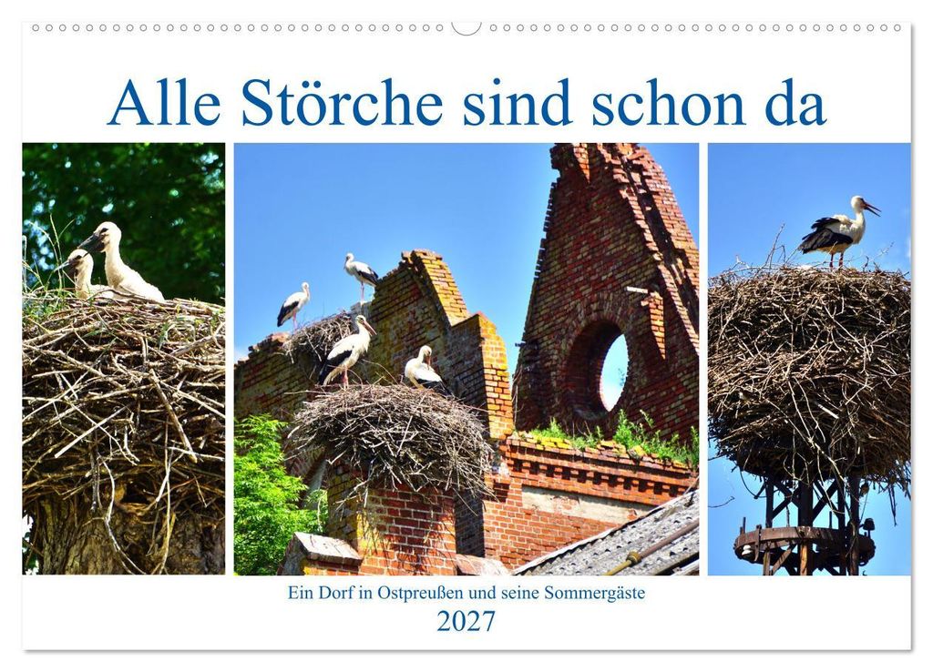 Alle Störche sind schon da - Ein Dorf in Ostpreußen und seine Sommergäste (Wandkalender 2027 DIN A2 quer), CALVENDO Monatskalender