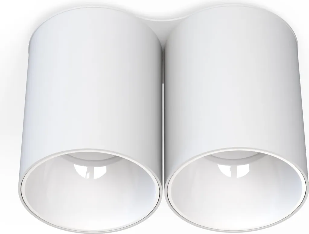 Spot de plafond EYE TONE II 8088 idéal pour éclairage ciblé et moderne