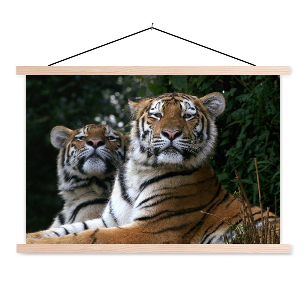MuchoWow Textilposter Tiger - Wald - Köpfe 120x80 cm mit holzfarbenen Rahmen - Aufhängeset
