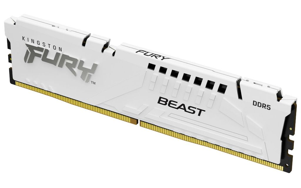 Kingston Technology FURY Beast Speichermodul 1 x 32 GB
