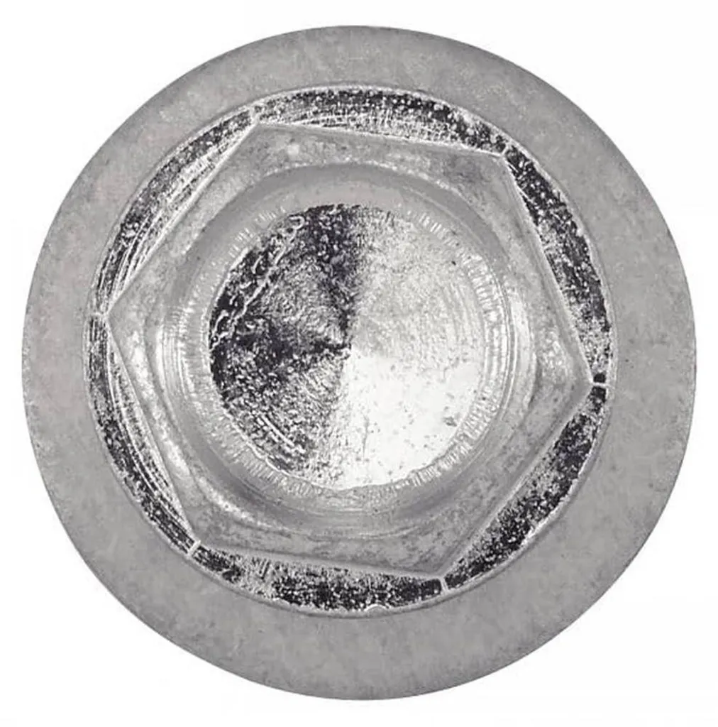 Vis Autoperceuse avec Rondelle Étanche 6.3x100mm pour Stopper Infiltrations