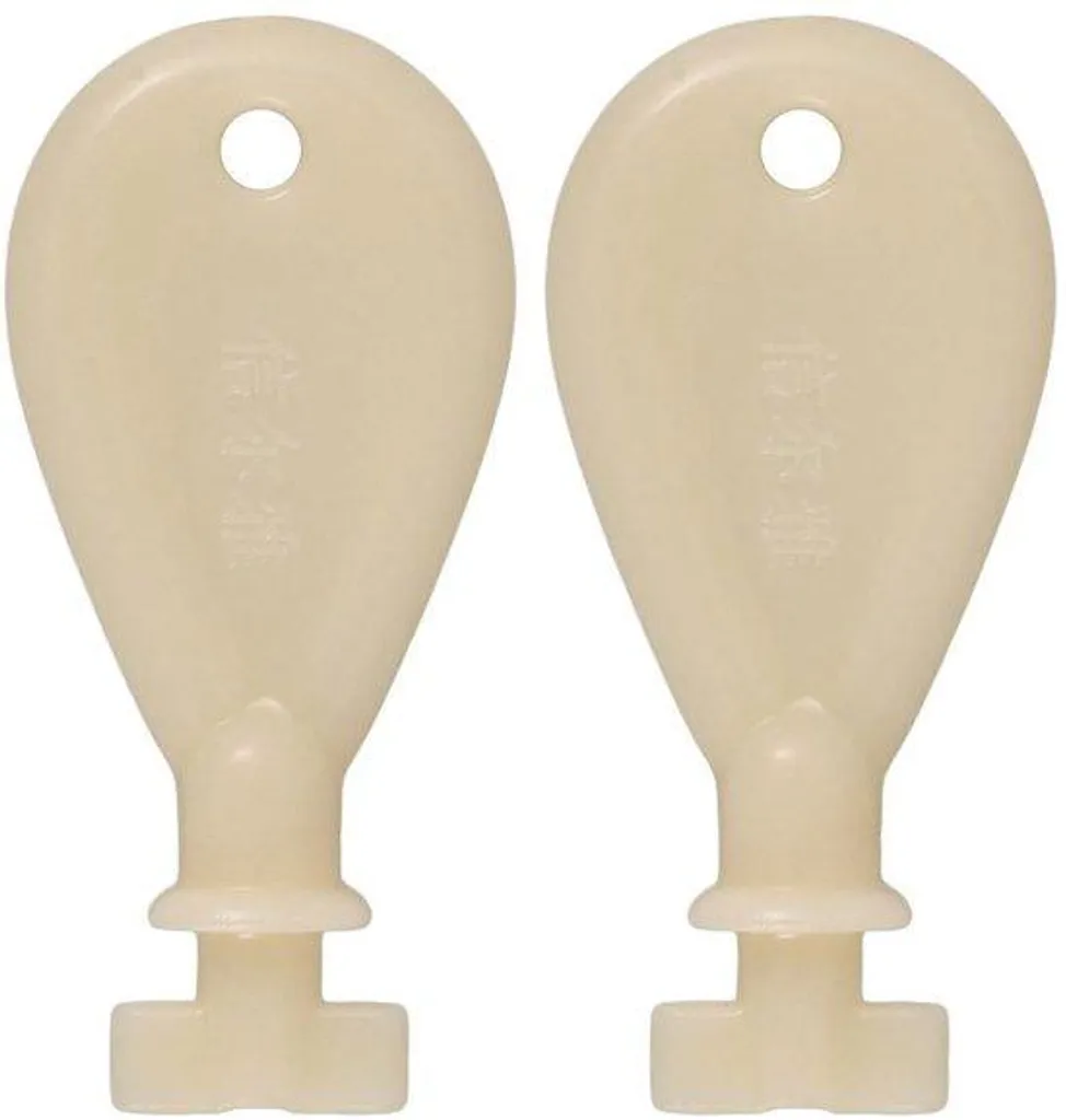 Solution Perte de Clés : Lot de 2 Clés pour Distributeurs Papier Standard