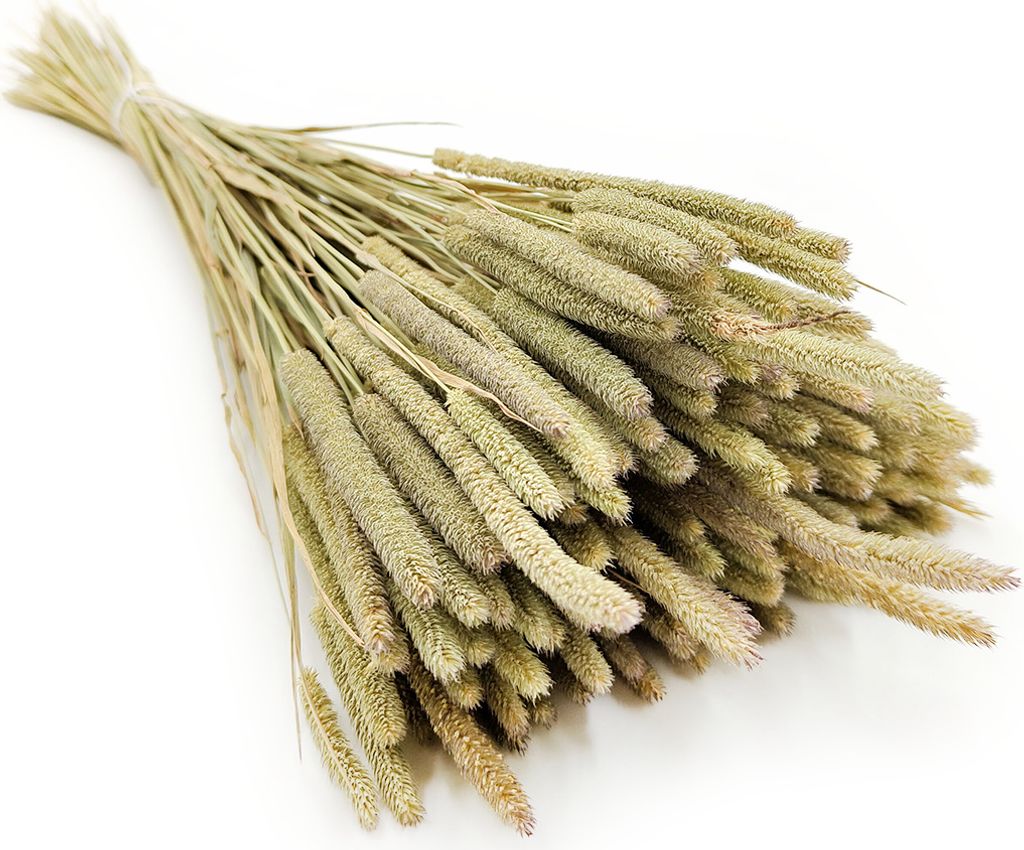 Getrocknetes Timothy-Gras - Natur