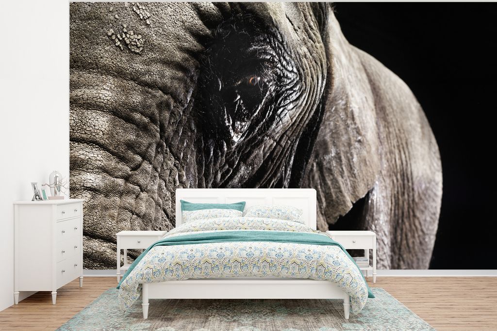 MuchoWow Fototapete für Wohnzimmer oder Schlafzimmer Wandtapete Vinyl Motivtapete Nahaufnahme eines Elefanten auf dunklem Hintergrund - 400x300 ...
