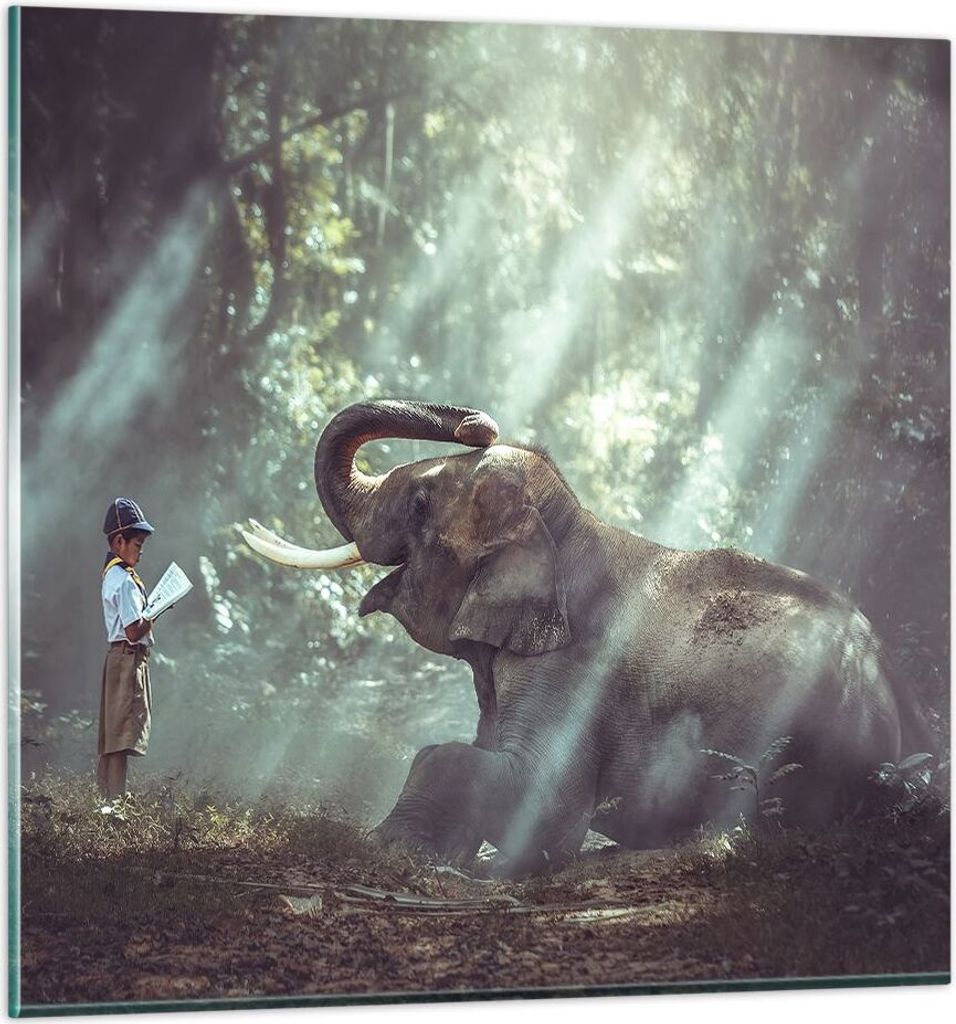 Bilder auf glas - Elefant Dschungel Stoßzahn - 70x70cm - Glasbilder - Wandbilder - Kunstdruck - zum Aufhängen bereit - Wanddekoration aus Glas - ...