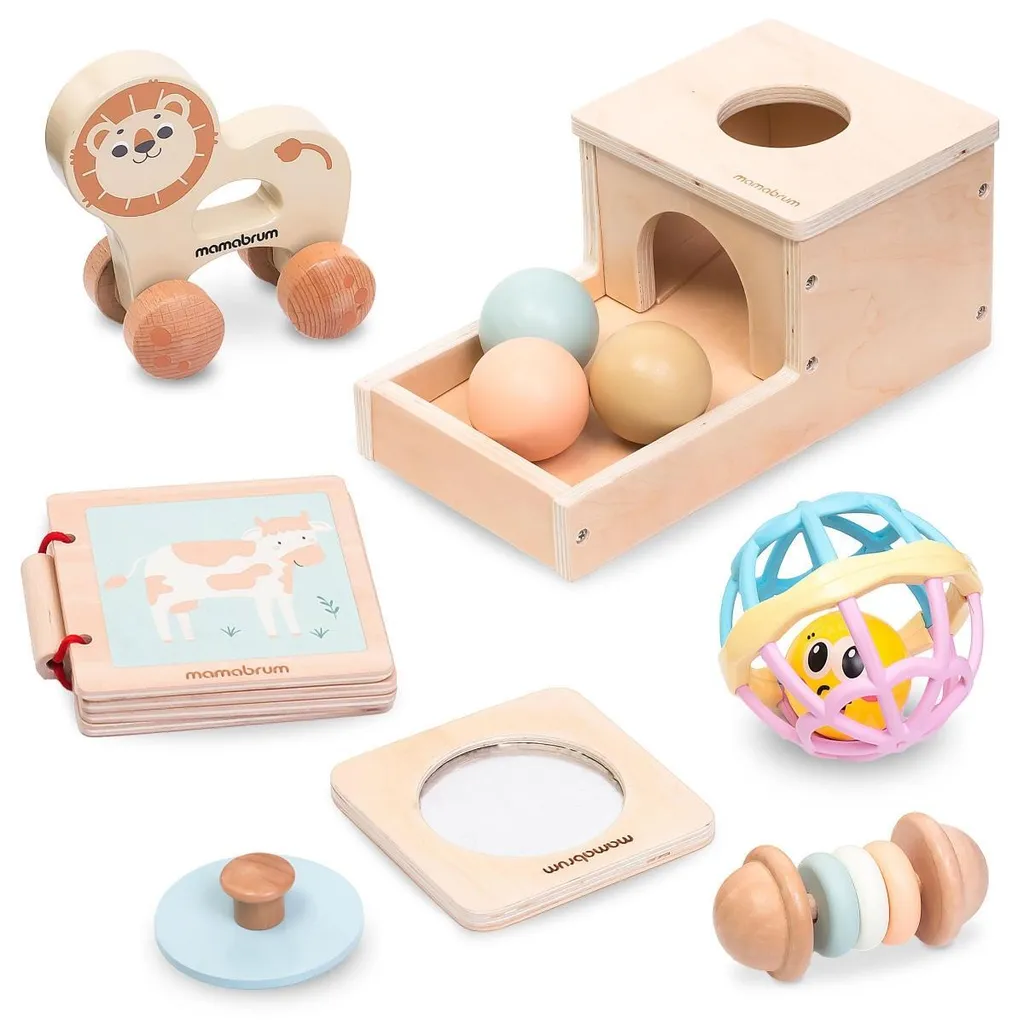 Coffret d'éveil Montessori pour bébé 7-12 mois - Kit complet 5 en 1