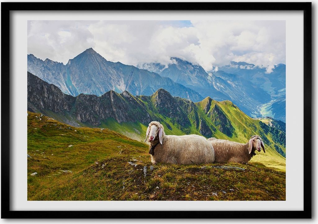 Bild - Bilderrahmen - 100 cm x 70 cm - MDF - Rahmen - Foto - Wandkunst Schafe in den Alpen