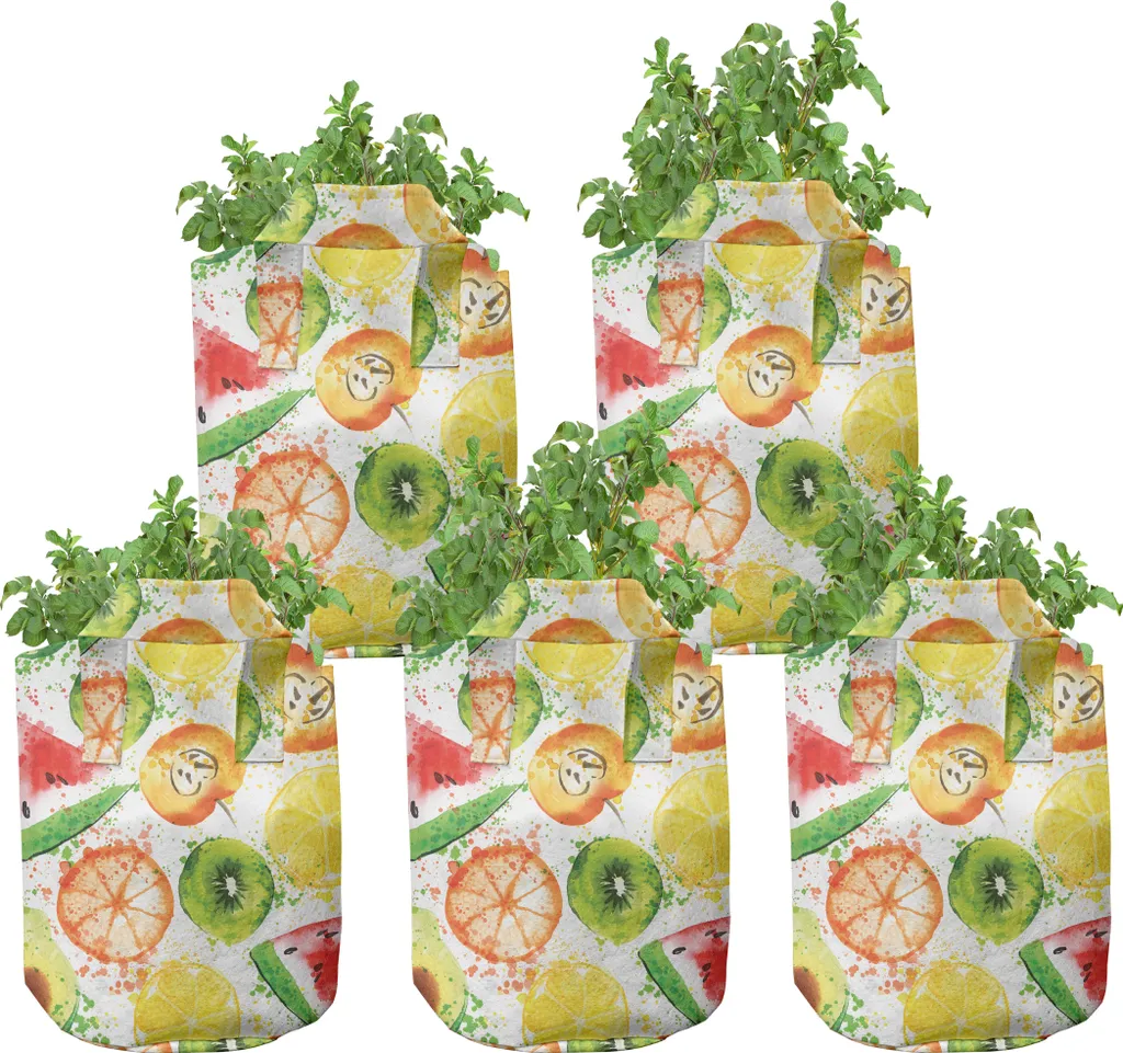 Sac de Plantation en Tissu 19L pour Fruits et Légumes, Lot de 5 Coloris