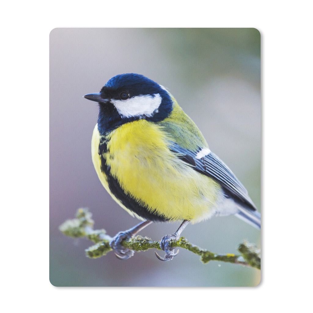 MuchoWow Mauspad Mousepad Kohlmeise - Vogel - Zweig 19x23 cm - Mousepads - Maus Mat - Pad - Mausunterlage - Mauspads - Spielen