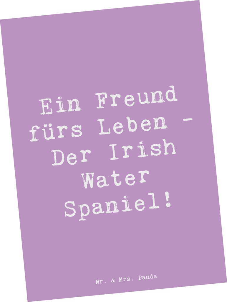 Mr. & Mrs. Panda Postkarte Spruch Irish Water Spaniel Freund - Lavendeltraum - Geschenk, Hunde, besondere Hunderasse, Wasserhund, Hunderassen Chara...