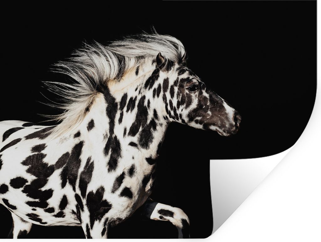 MuchoWow - Faltenfrei